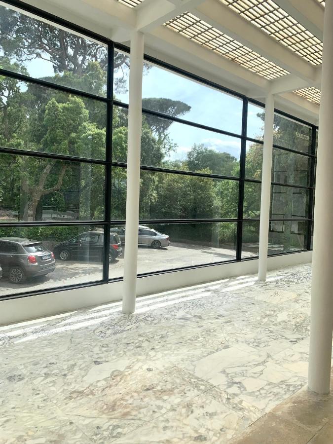 Elegant Studio Et Parking Dans Batiment Historique 쎙뜨호뻬 외부 사진